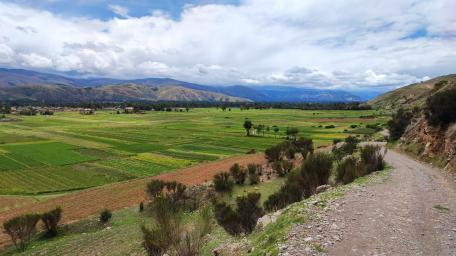 Crops in the valley wallpaper