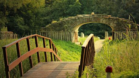 Serene Nature Bridge in Lush Landscape wallpaper