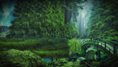 Enchanted Forest Bridge wallpaper
