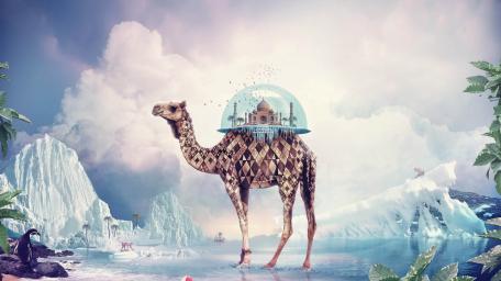 Majestic Camel in a Dreamlike Landscape wallpaper