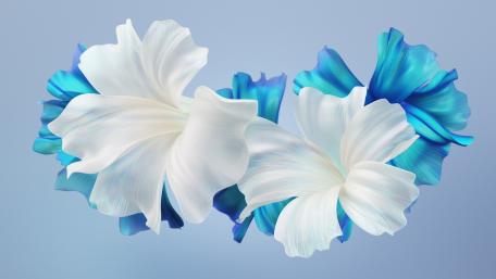 Abstract Harmony of Blue and White Wildflowers wallpaper