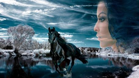 Mystical Equine Dreamland wallpaper