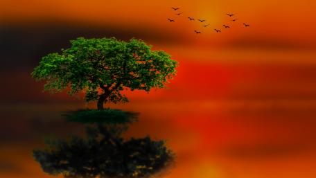 Majestic Solitude in a Tranquil Sky wallpaper