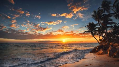 Golden Sunset at the Tropical Sunset Beach Park wallpaper