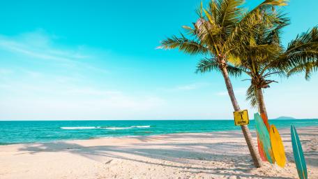Surfboards on the beach wallpaper