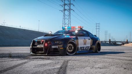 Ford Mustang Police Pursuit Vehicle wallpaper