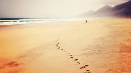 Tranquil Beach Serenity for Your Space wallpaper