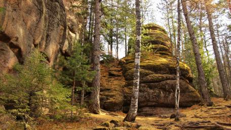 Stolby Nature Reserve wallpaper