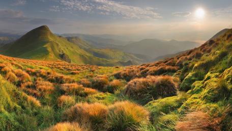Golden Hour Over Rolling Hills wallpaper