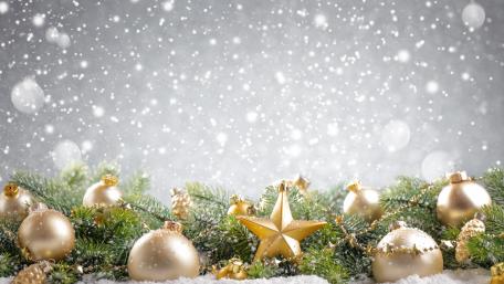 Winter Holiday Delight wallpaper