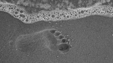 Footprint on Sandy Shoreline in Monochrome wallpaper