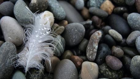 Tranquil Stones and Delicate Feather wallpaper