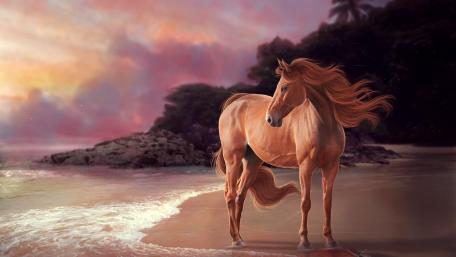 Majestic Horse on Sunset Beach wallpaper