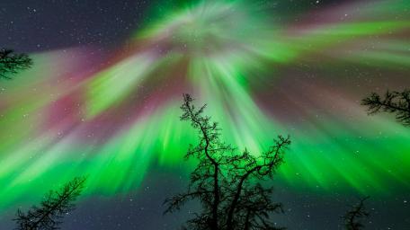 Enchanted Northern Lights Dance wallpaper