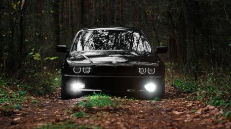 BMW E39 in a Mystical Forest Setting wallpaper