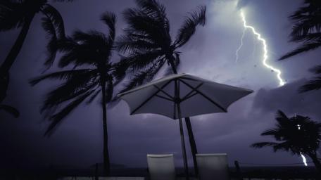 Majestic Lightning Dance Over Palm Trees wallpaper