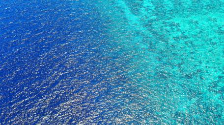 Hawaiian Sea wallpaper