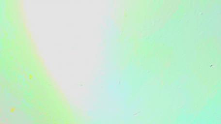 color neon wallpaper