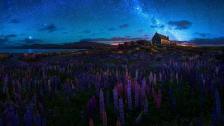 Starry Night Over a Blooming Landscape wallpaper