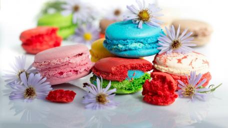 Colorful Macarons with Floral Accents for Delightful Decor wallpaper