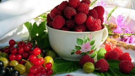Vibrant Raspberry Delight in Nature's Embrace wallpaper