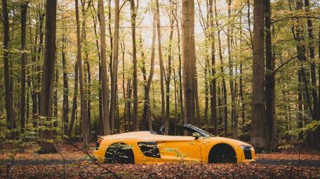 Audi R8 in a Serene Forest Setting wallpaper