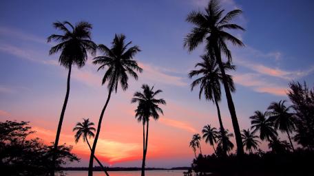 Tropical Sunset Serenity wallpaper