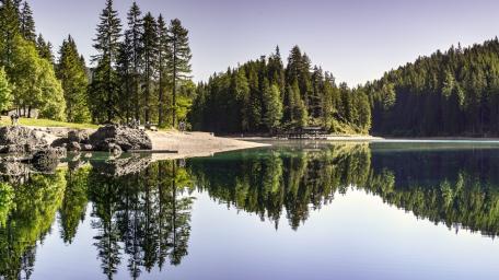 Serene Lake Reflection Amidst Lush Pines wallpaper