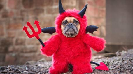 Devilish Delight in a Fluffy Suit wallpaper