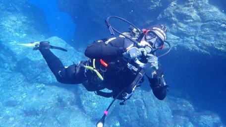 Diving into the Blue Depths of Adventure wallpaper