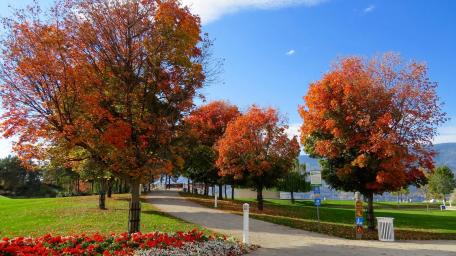 Autumn Serenity in the Park Landscape wallpaper