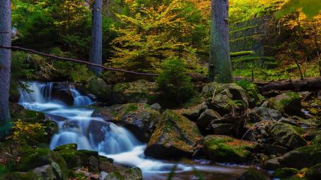 Enchanted Forest Waterfall Serenity wallpaper