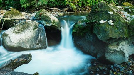 Tranquil Waterfall Among Lush Greenery wallpaper