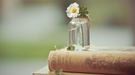 Delicate Flower on Vintage Book Wallpaper wallpaper