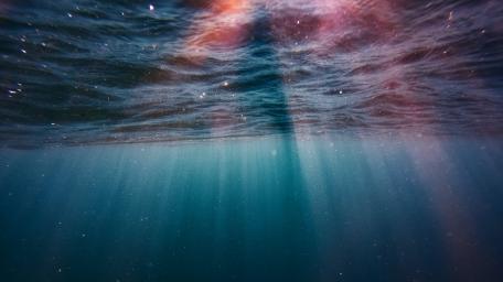 Beneath the Surface: Sunlit Sea Tranquility   wallpaper