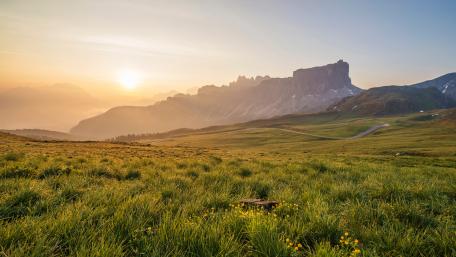 Mountain Meadow wallpaper