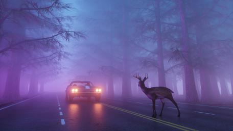 Mystical Roadside Encounter wallpaper