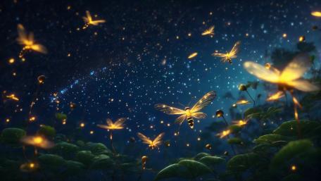 Enchanted Nighttime Dance of Fireflies wallpaper