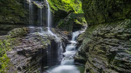 Serenity in Nature's Embrace wallpaper