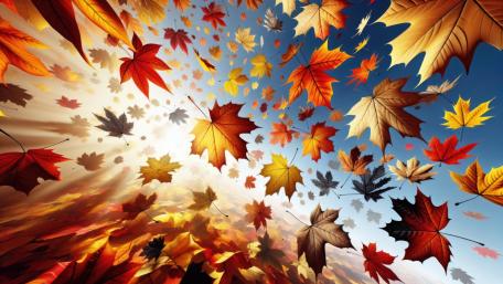 Vibrant Autumn Maple Leaves Dance in the Wind wallpaper