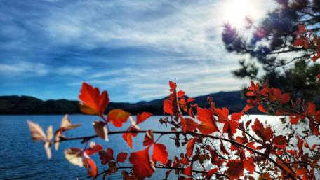 Autumn Serenity by the Lake wallpaper