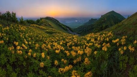 Golden Bloom at Mount Beshtau (Russia) wallpaper