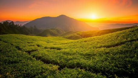 Sunset Bliss over Lush Green Hills wallpaper