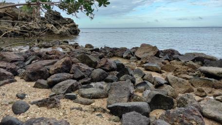 Stony Shore wallpaper