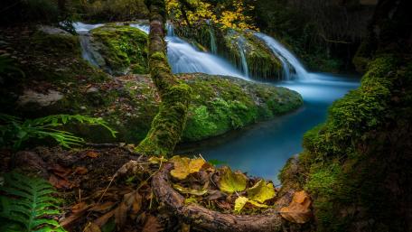 Enchanted Forest Waterfall Serenity wallpaper