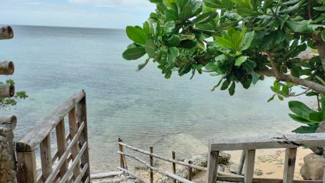 Low Tide Waters wallpaper
