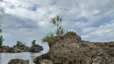 Rocky Beach wallpaper