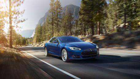 Sleek Tesla in Nature's Embrace wallpaper