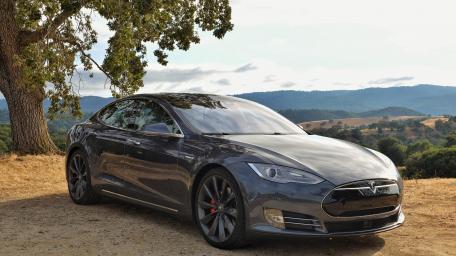 Tesla Elegance Amidst Nature's Serenity wallpaper