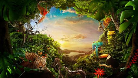 Tropical Paradise at Sunset wallpaper